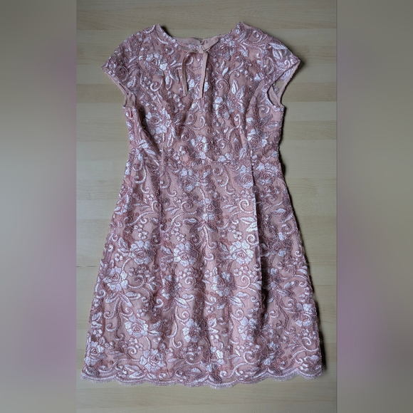 The Unbranded Brand Dresses & Skirts - Unbranded Pink Embroidered Lace Cocktail Dress